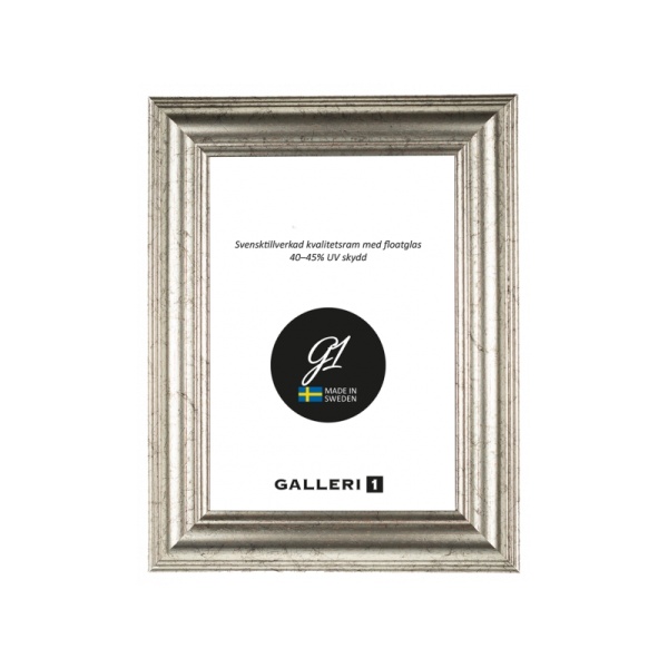 Ram Galleri1 14B 20X30 Silver