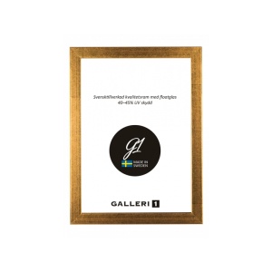 Ram Galleri1 20X20 Guld