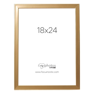 Ram Pop Guld 18X24