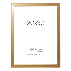Ram Pop Guld 20X30