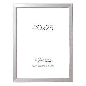 Ram Pop Silver 20X25