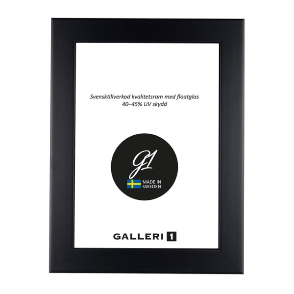Ram Galleri1 34B 30X40 Svart