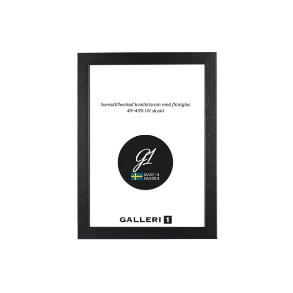 Ram Galleri1 2E 20X20 Svart