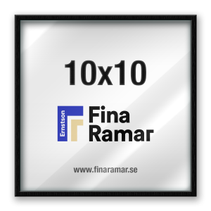 10x10