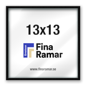 13x13