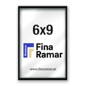 6x9