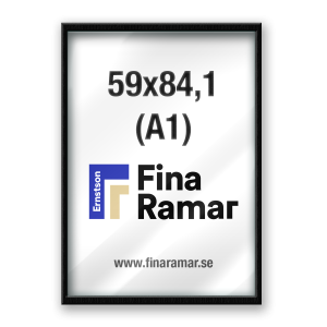 59,4x84,1(A1)