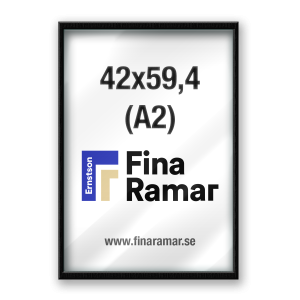 42x59,4(A2)